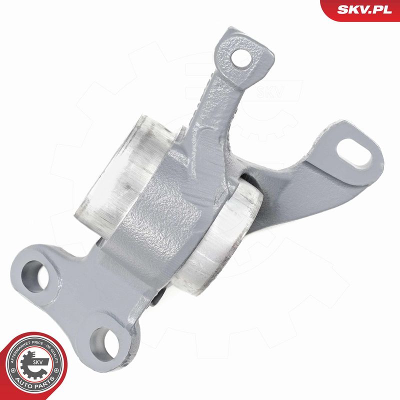 Puks, ESEN SKV 69SKV566