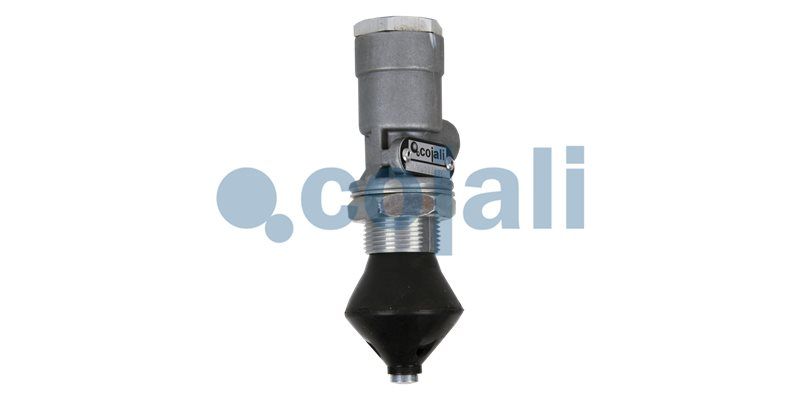 Supapa multicai COJALI 2213201