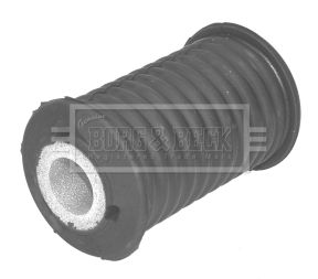 Casquillo del cojinete, ballesta