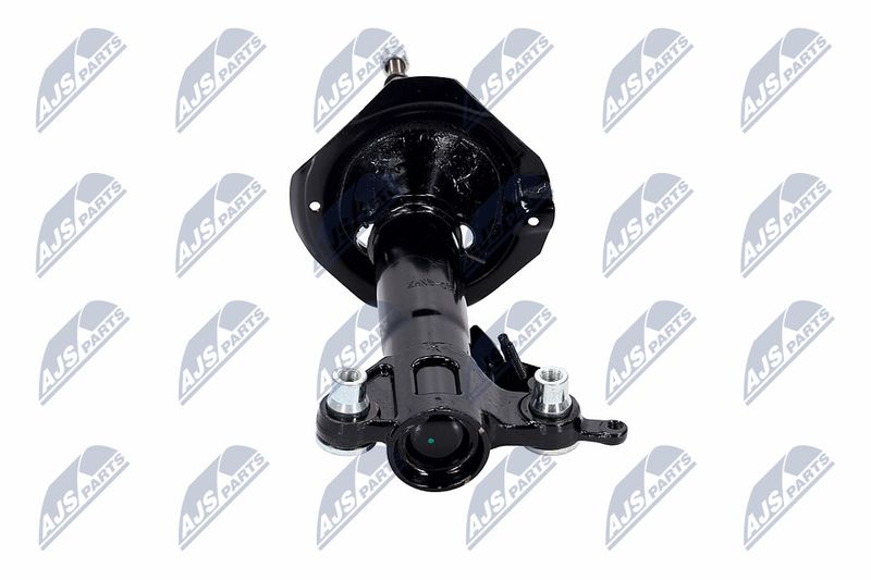 Amort, NTY A-NS-016