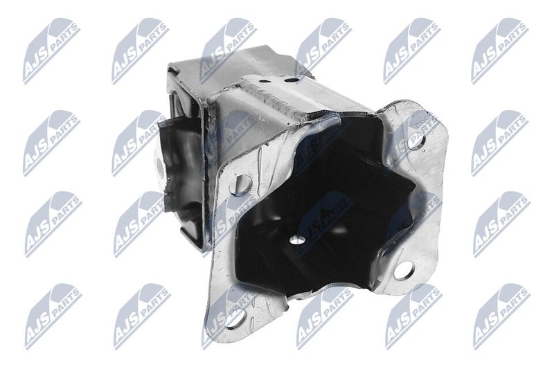 Paigutus, Mootor, NTY ZPS-CH-033