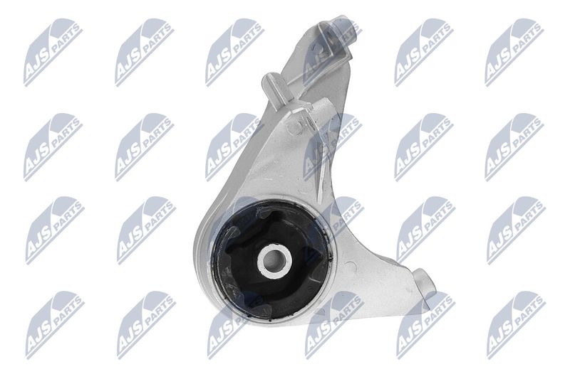 Paigutus, Mootor, NTY ZPS-CH-149