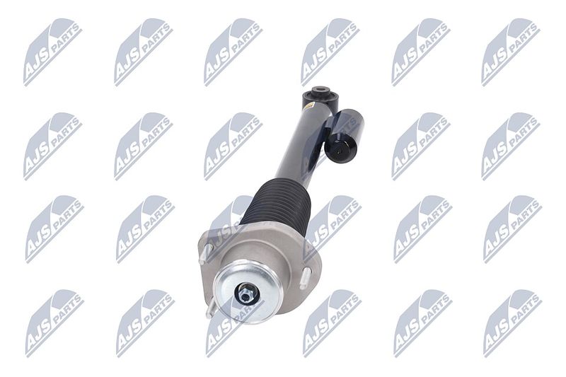 Amort, NTY A-LR-020