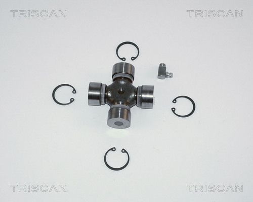 8540675.JPG