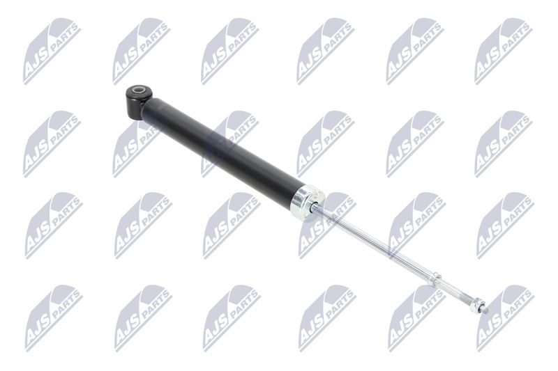 Amort, NTY A-NS-039