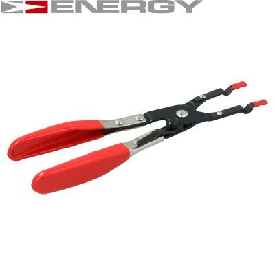 Гострозубці, Energy NE00967