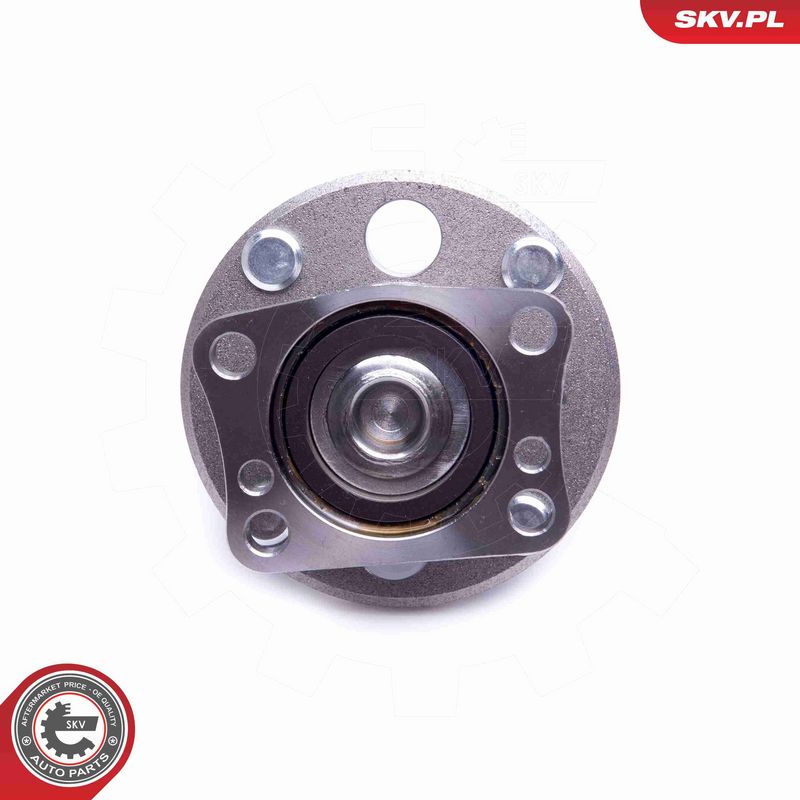 ESEN SKV 29SKV425 Wheel Bearing Kit