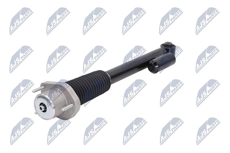 Amort, NTY A-LR-020