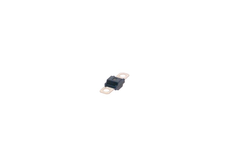 BOSCH 1987531011 Fuse