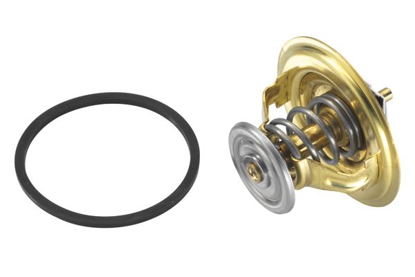 BorgWarner (Wahler) 4231.71D Thermostat, coolant