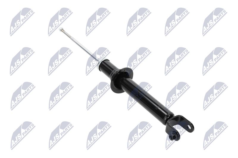 Amort, NTY A-CH-055