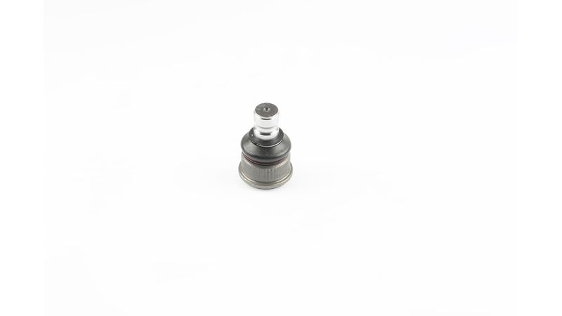 SKF VKDS 316006 Šarnyras / girgždukas
