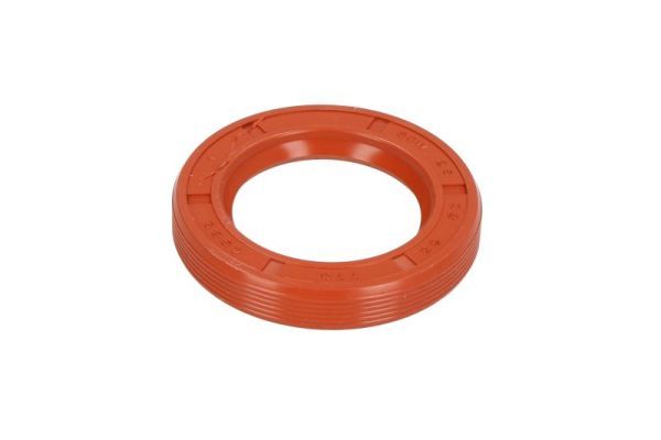 Wellendichtring, Einspritzpumpe