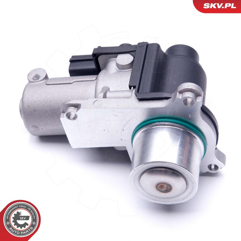 EGR-klapp, ESEN SKV 14SKV170