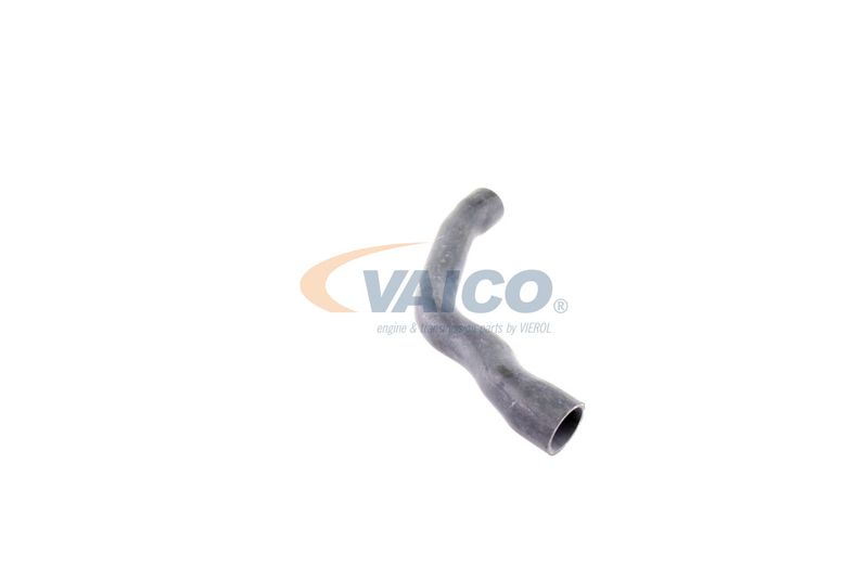 VAICO V30-2099 Radiator Hose