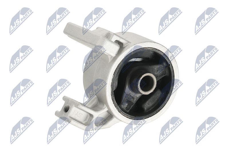 Paigutus, Mootor, NTY ZPS-KA-318