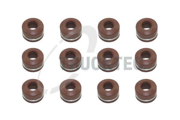 TRUCKTEC AUTOMOTIVE 02.43.116 - Seal Set, valve stem