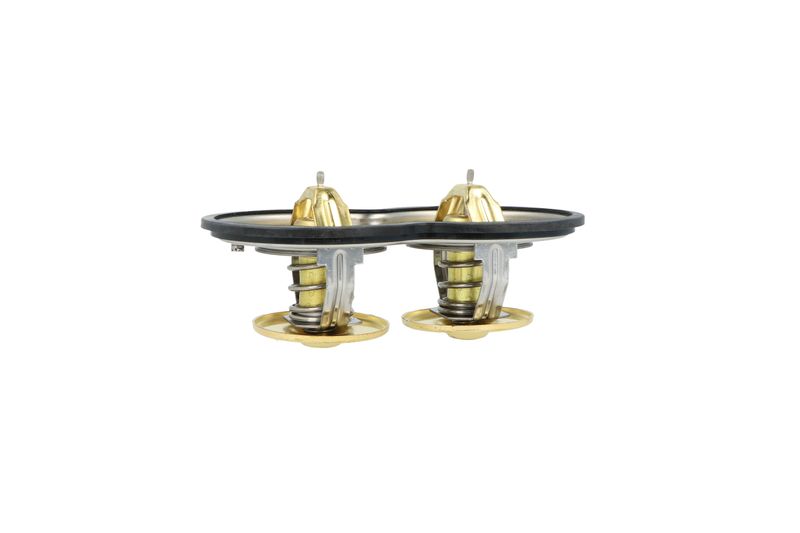 Termostat, chladivo 725374