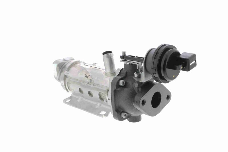 VEMO V42-63-0015 Cooler, exhaust gas recirculation