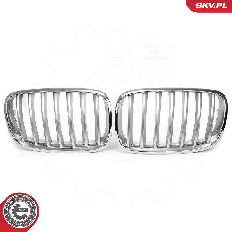 Radiaatorivõre, ESEN SKV 66SKV285