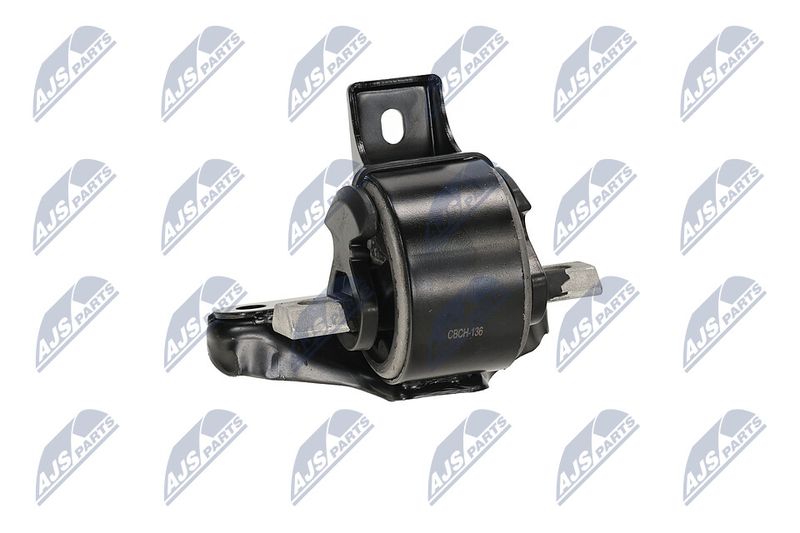 Paigutus, Mootor, NTY ZPS-CH-136