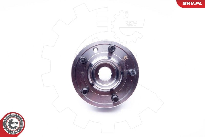 ESEN SKV 29SKV182 Wheel Bearing Kit