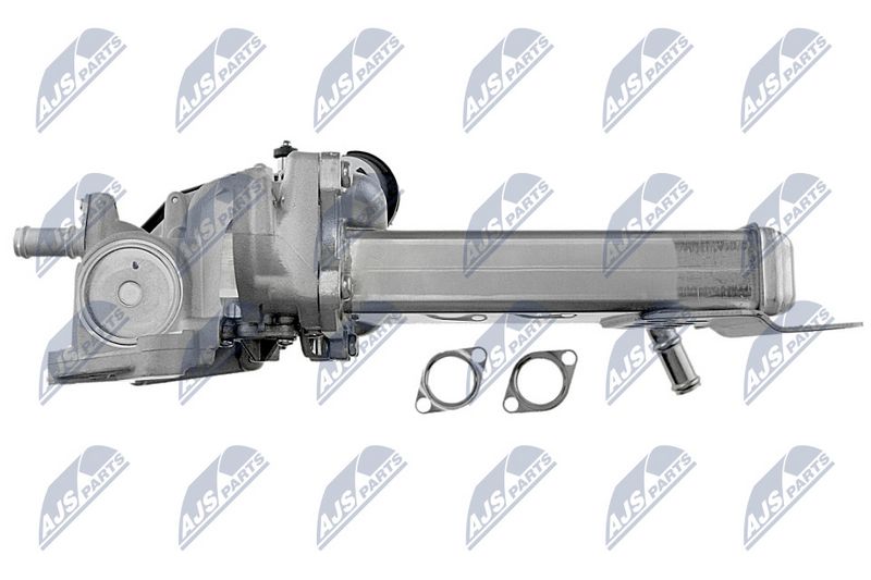 egr-vw-024_6-wm.JPG