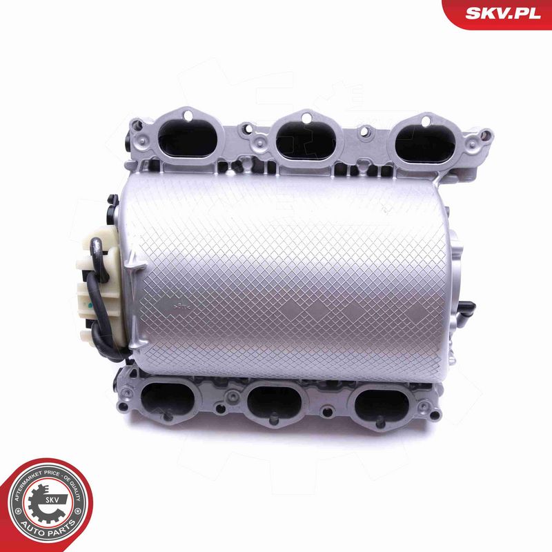 ESEN SKV 49SKV013 Intake Manifold Module