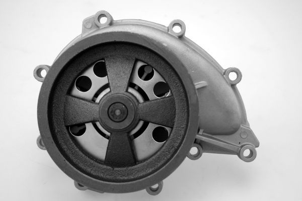 P9916.JPG