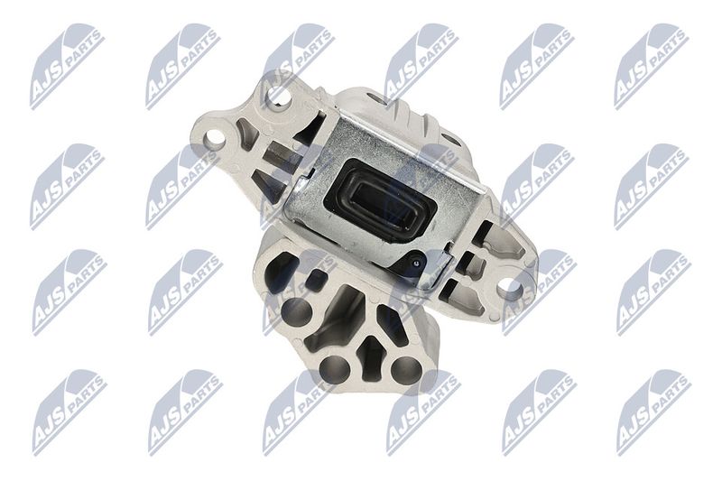 Paigutus, Mootor, NTY ZPS-CH-133