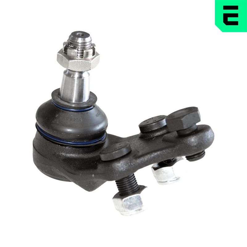 Kande-, juhtliigend,...