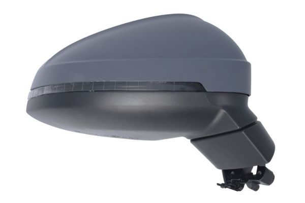 BLIC 5402-25-0054319P Exterior Mirror