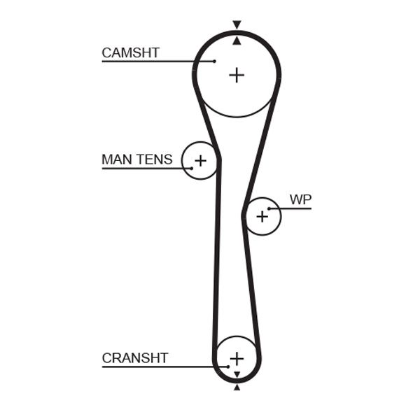 GATES Fogasszíj 5577XS