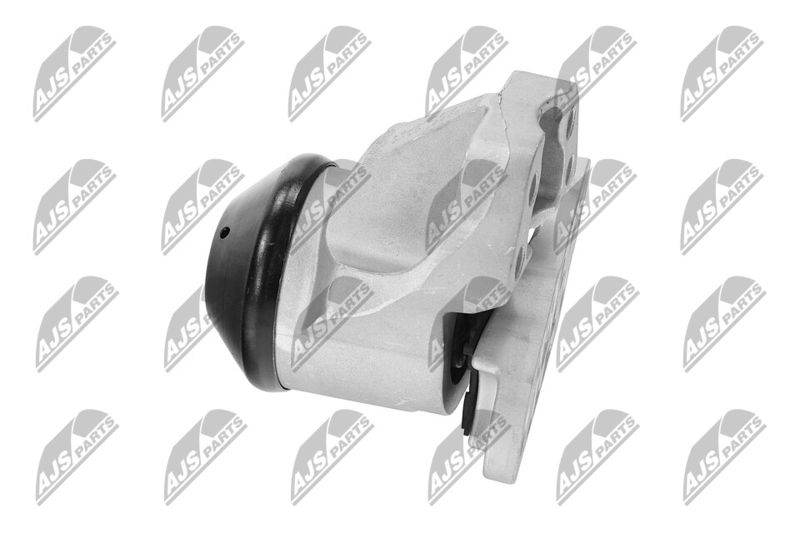 Paigutus, Mootor, NTY ZPS-FR-053