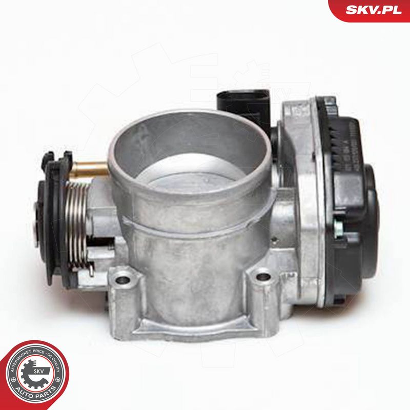 ESEN SKV 12SKV002 Throttle Body