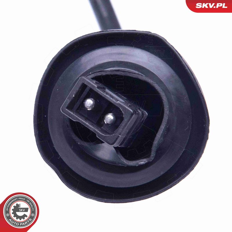 ESEN SKV 06SKV377 ABS daviklis