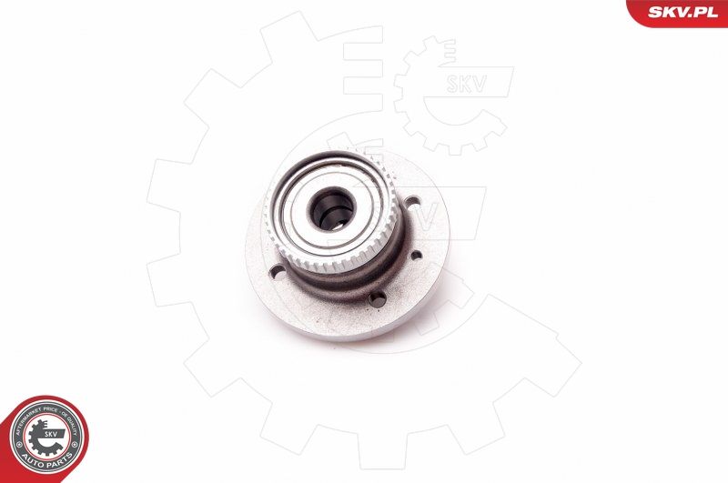 ESEN SKV 29SKV102 Wheel Bearing Kit