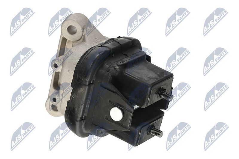 Paigutus, Mootor, NTY ZPS-CH-019