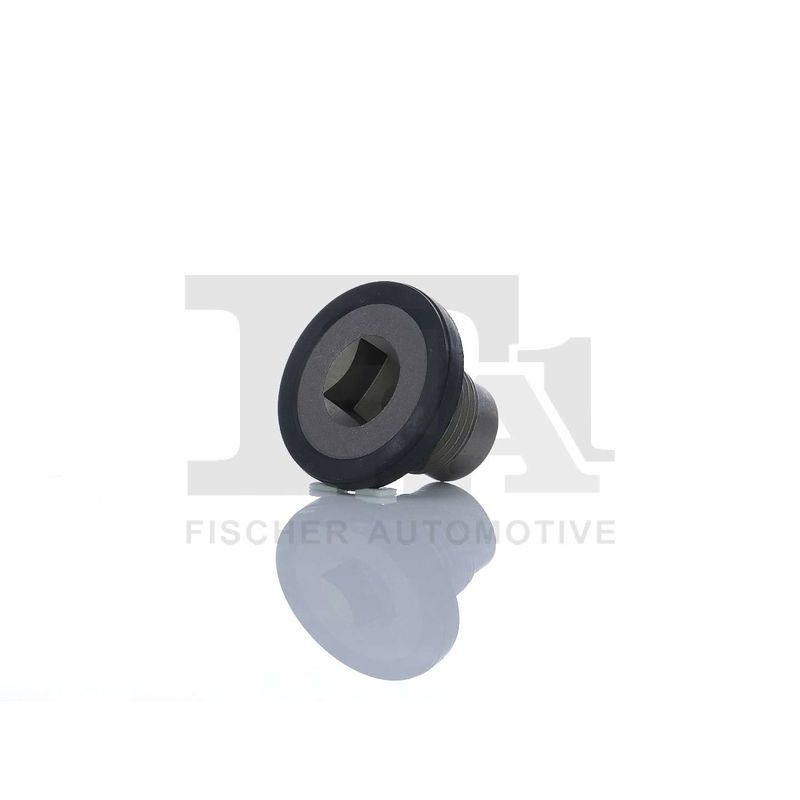 FA1 257.895.001 Screw Plug, oil sump