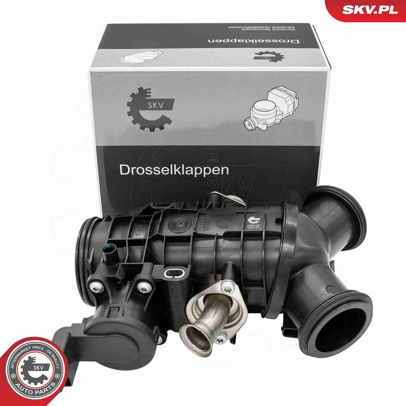 ESEN SKV 12SKV150 Throttle Body
