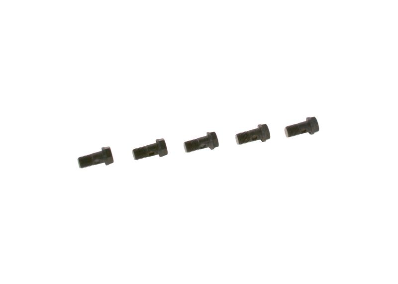 Surub F 019 D01 024 BOSCH