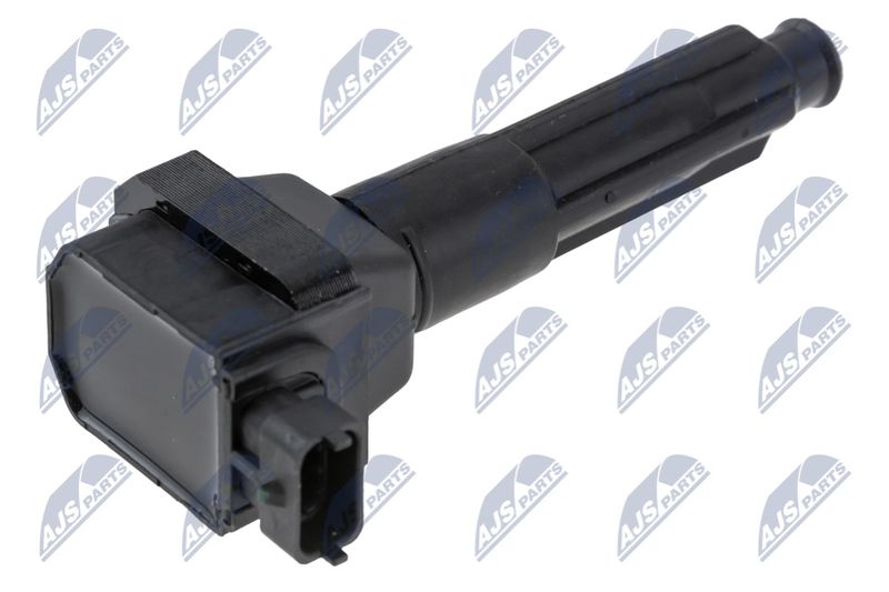 ECZ-ME-024_1-WM.JPG