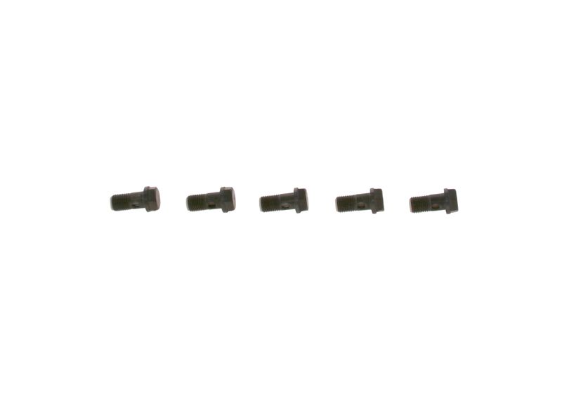 Surub F 019 D01 024 BOSCH