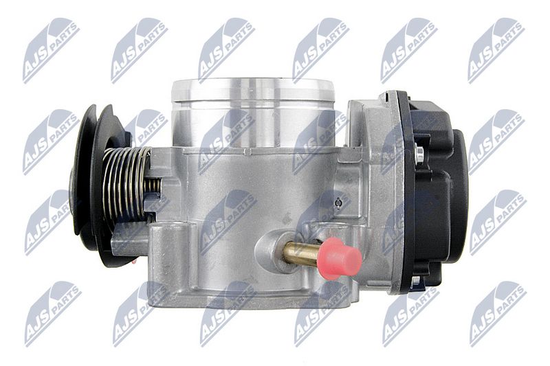 etb-vw-013_5-wm.JPG