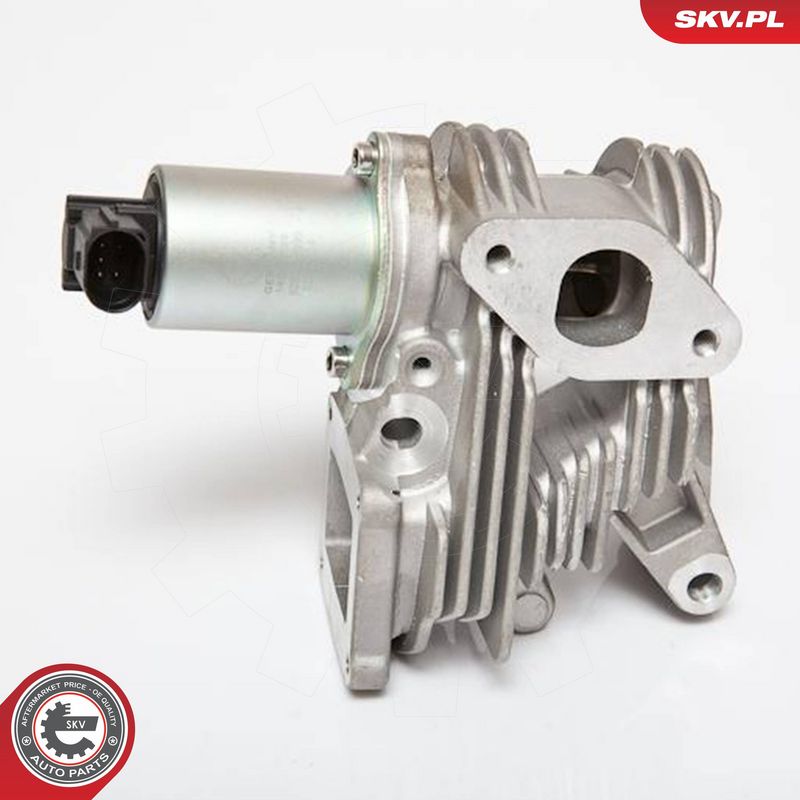 ESEN SKV 14SKV036 EGR Valve