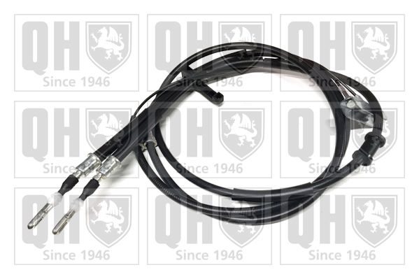 QH_BC3840.JPG