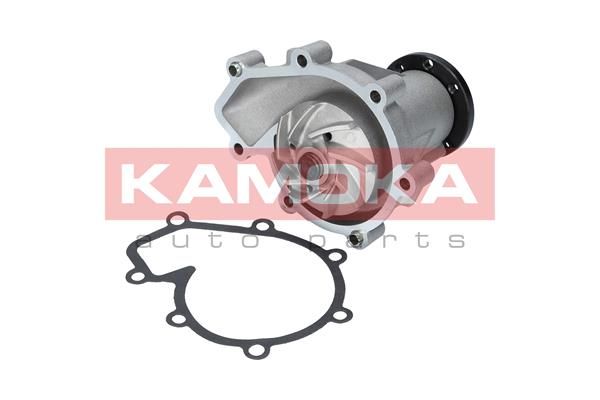 KAMOKA T0181 Water Pump, engine cooling