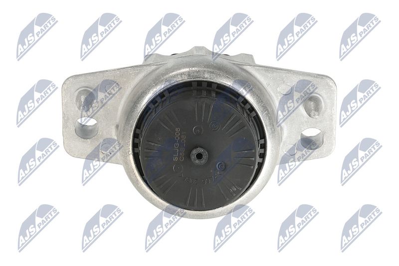 Paigutus, Mootor, NTY ZPS-JG-006