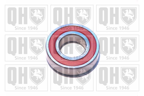QH_XB9924.JPG