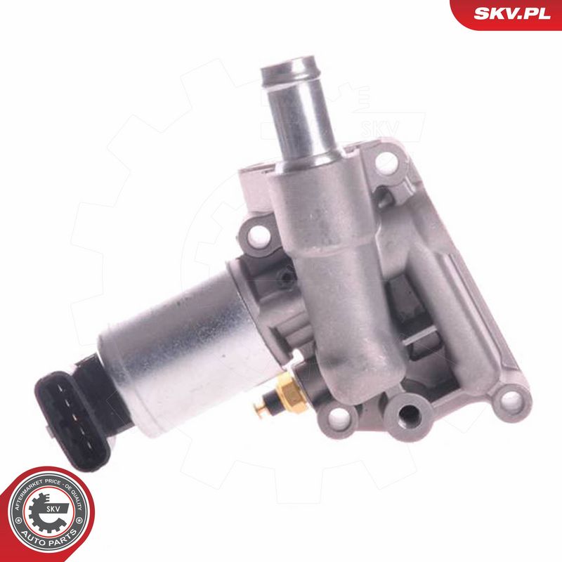 ESEN SKV 14SKV003 EGR Valve
